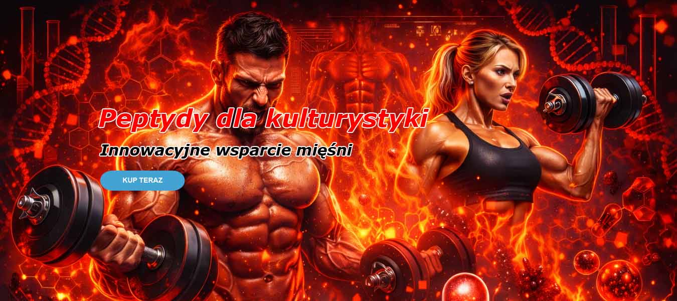Main-banner2